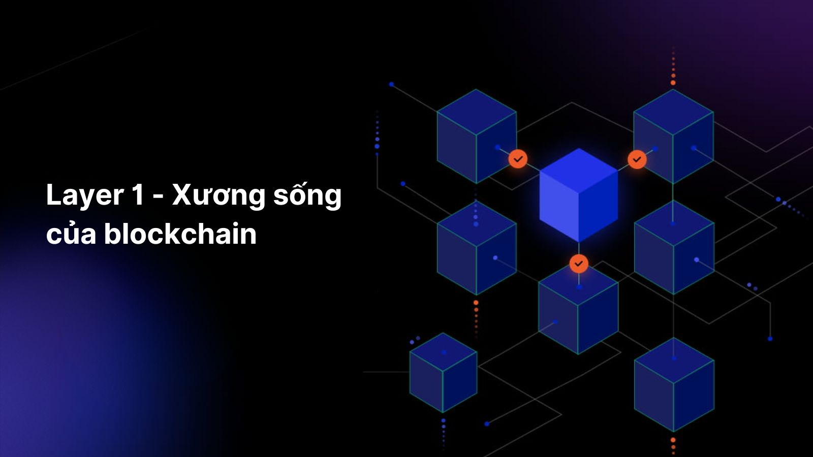 https://storage.nomion.io/ndachain-blogs/1754968065-ELEMENT(1).png?s=fpt